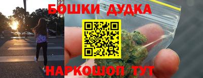 МДПВ Будённовск