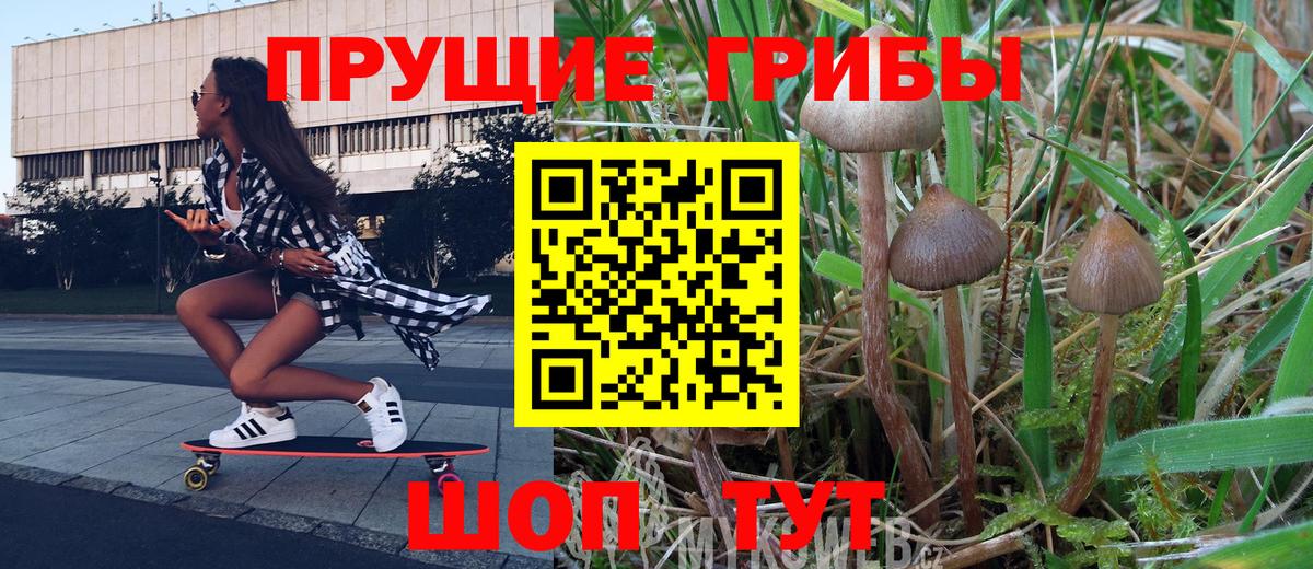 Галлюциногенные грибы Magic Shrooms  Вход с VPN  Элиста 